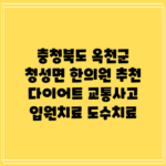 충청북도 옥천군 청성면 한의원 추천 다이어트 교통사고 입원치료 도수치료