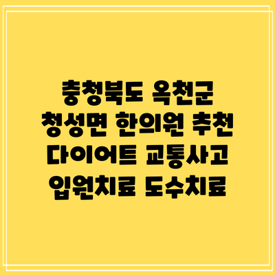 충청북도 옥천군 청성면 한의원 추천 다이어트 교통사고 입원치료 도수치료