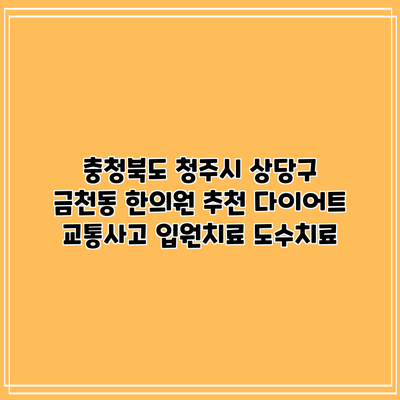 충청북도 청주시 상당구 금천동 한의원 추천 다이어트 교통사고 입원치료 도수치료