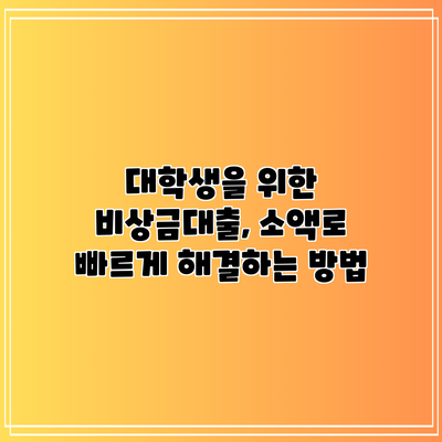 대학생을 위한 비상금대출, 소액로 빠르게 해결하는 방법