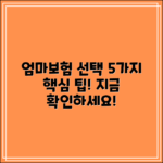 대한민국 엄마보험 선택 5가지 팁