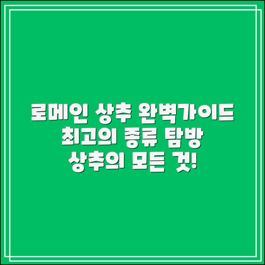 로메인 상추 종류 완벽 가이드