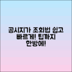 쉽게 따라하는 공시지가 조회 방법과 팁