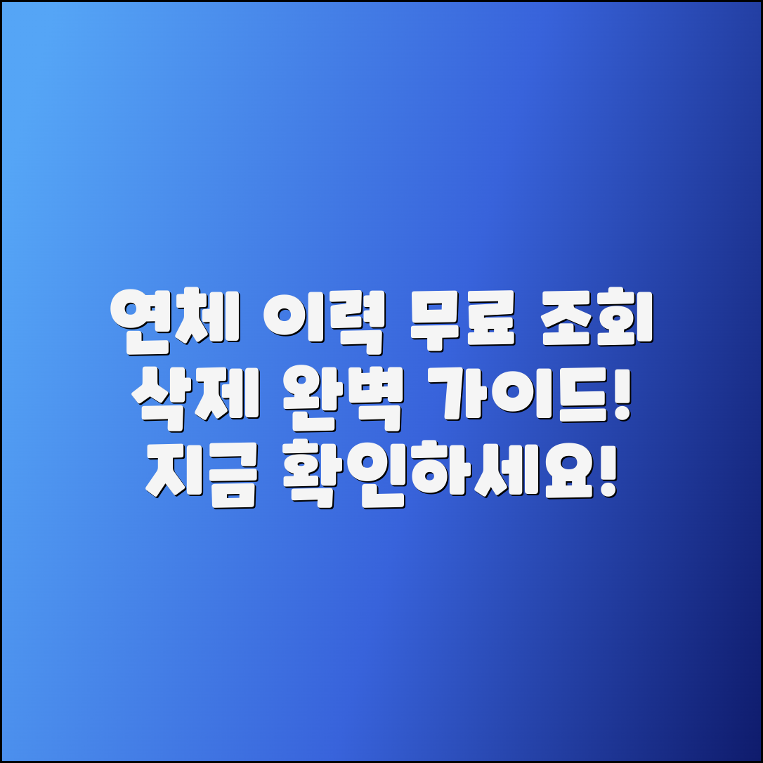 연체 이력 무료 조회 및 삭제 완벽 가이드