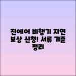 진에어 비행기 지연 보상 신청: 서류 및 기준 총정리