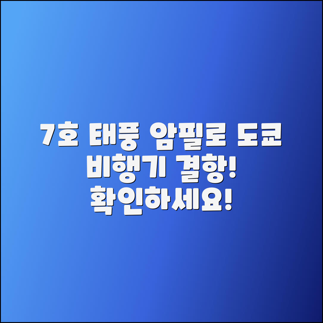 7호 태풍 암필로 도쿄행 비행기 결항 확인하기