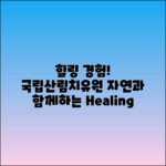 국립산림치유원에서 경험하는 힐링 체험