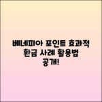 베네피아 복지몰 포인트 환급 효과적 활용 사례
