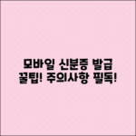 모바일 신분증 발급 방법과 주의사항