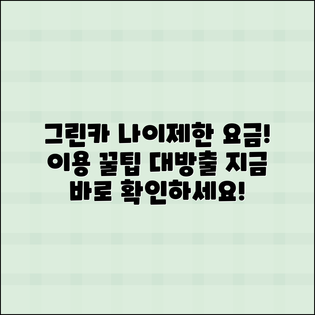 그린카 이용 시 나이제한과 요금 알아보기