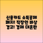 신용카드 소득공제 폐지 총정리: 직장인 비상!
