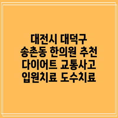 대전시 대덕구 송촌동 한의원 추천 다이어트 교통사고 입원치료 도수치료