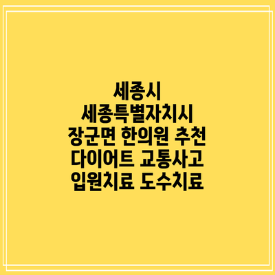 세종시 세종특별자치시 장군면 한의원 추천 다이어트 교통사고 입원치료 도수치료