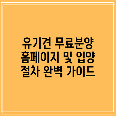 유기견 무료분양 홈페이지 및 입양 절차 완벽 가이드