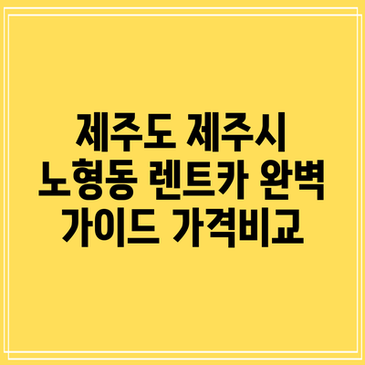 제주도 제주시 노형동 렌트카 완벽 가이드: 가격비교