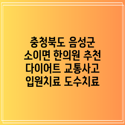 충청북도 음성군 소이면 한의원 추천 다이어트 교통사고 입원치료 도수치료